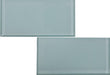 Caribe 3" x 6" Subway Tile