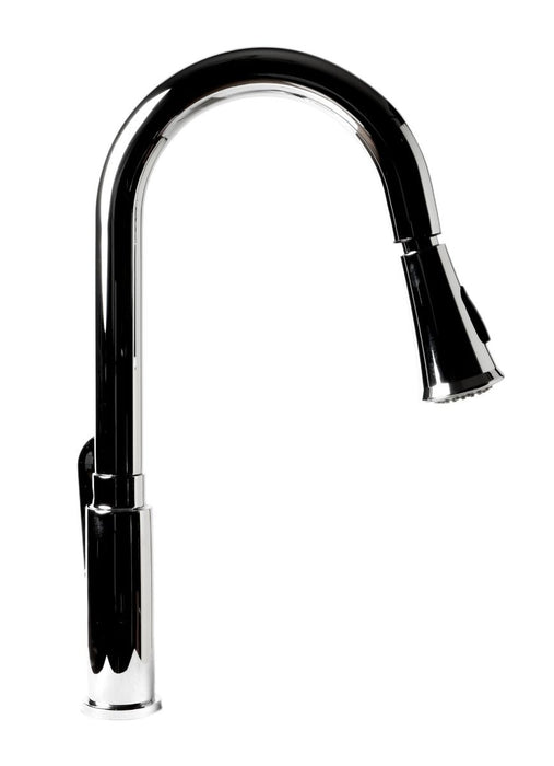 Gooseneck Pull Down Kitchen Faucet