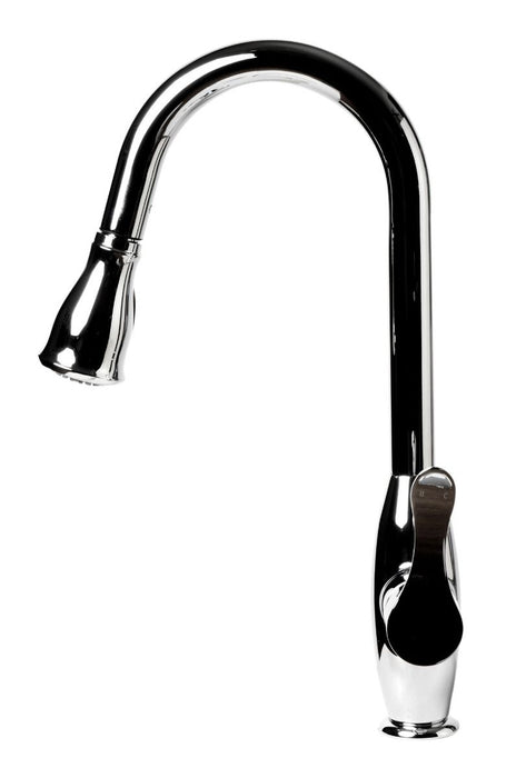 Traditional Gooseneck Pull Down Kitchen Faucet