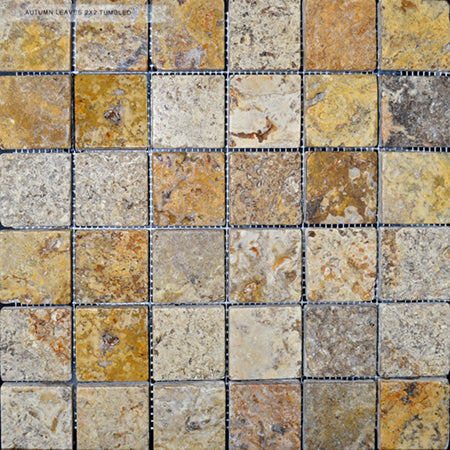 Scabos Tumbled 2 X2 - Bravo Tile