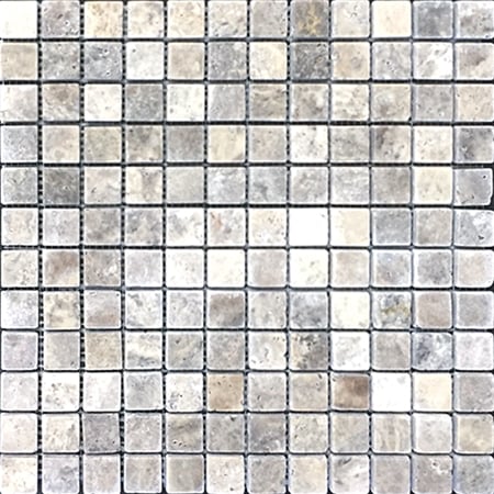 Silver Tumbled 1 X1 - Bravo Tile
