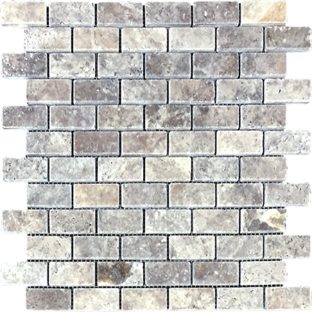 Silver Tumbled 1 X2 - Bravo Tile