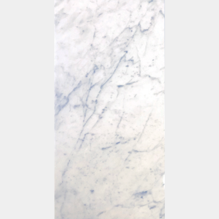 White Carrera 12 X24 - Bravo Tile
