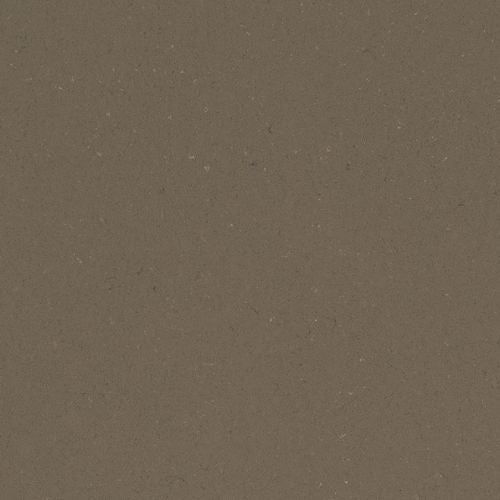 Fossil Brown Sample — Surprise Granite
