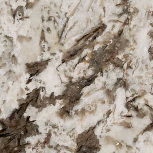 Bianco Antico Sample Surprise Granite   6456ce4576abb28c0afbc157 Msi Surfaces Surprise Granite Bianco Antico Granite Close 20up 1200x1200 