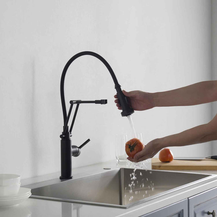 Engel Single Handle Pull Down Kitchen Faucet Matte Black