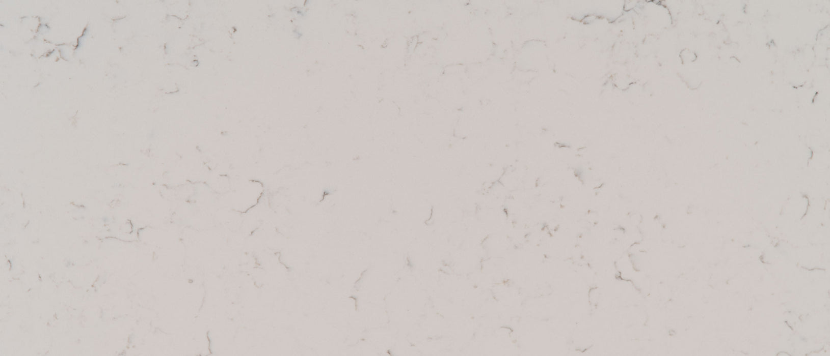Carrara Grigio quartz countertop close up